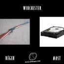 Winchesterek