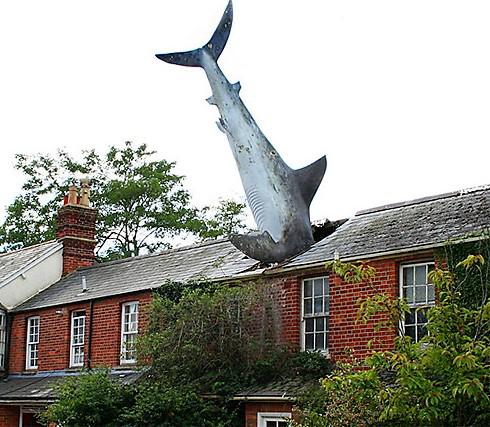 Cápa, John Buckley, Headington, 1986 - A tetőbe fúródó óriáscápát a ház tulajdonosa rendelte egy brit művésztől