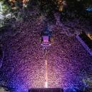 Elképesztő tömeg  Fotó: Campus official