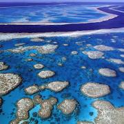 Ausztráliai korallzátony