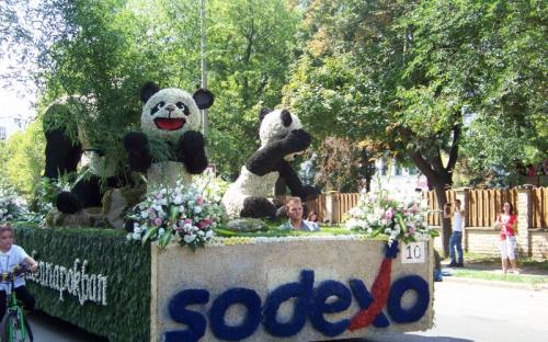 A Sodexo pandái virágból