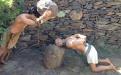 Kivégzés a guanchóknál 